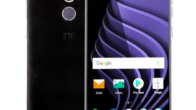ZTE Blade Max View