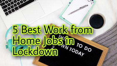 5 Best Work From Home Jobs