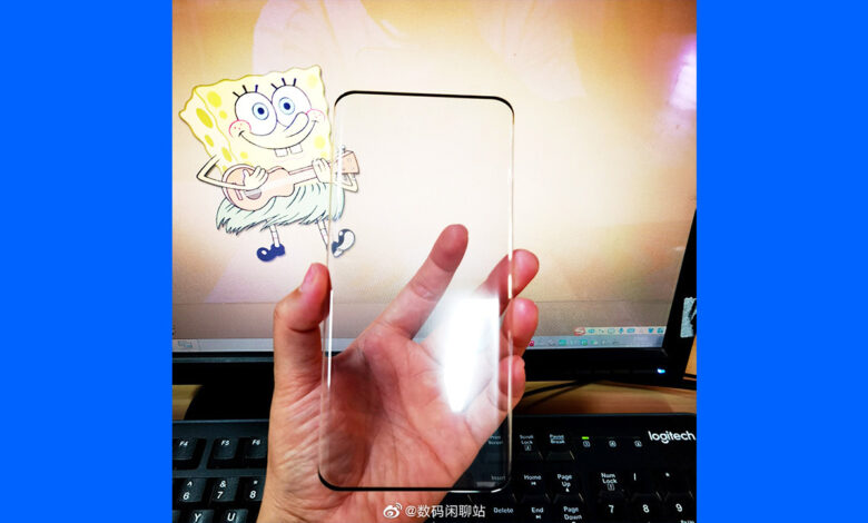 Huawei Mate 40 Pro Screen Protector reveals
