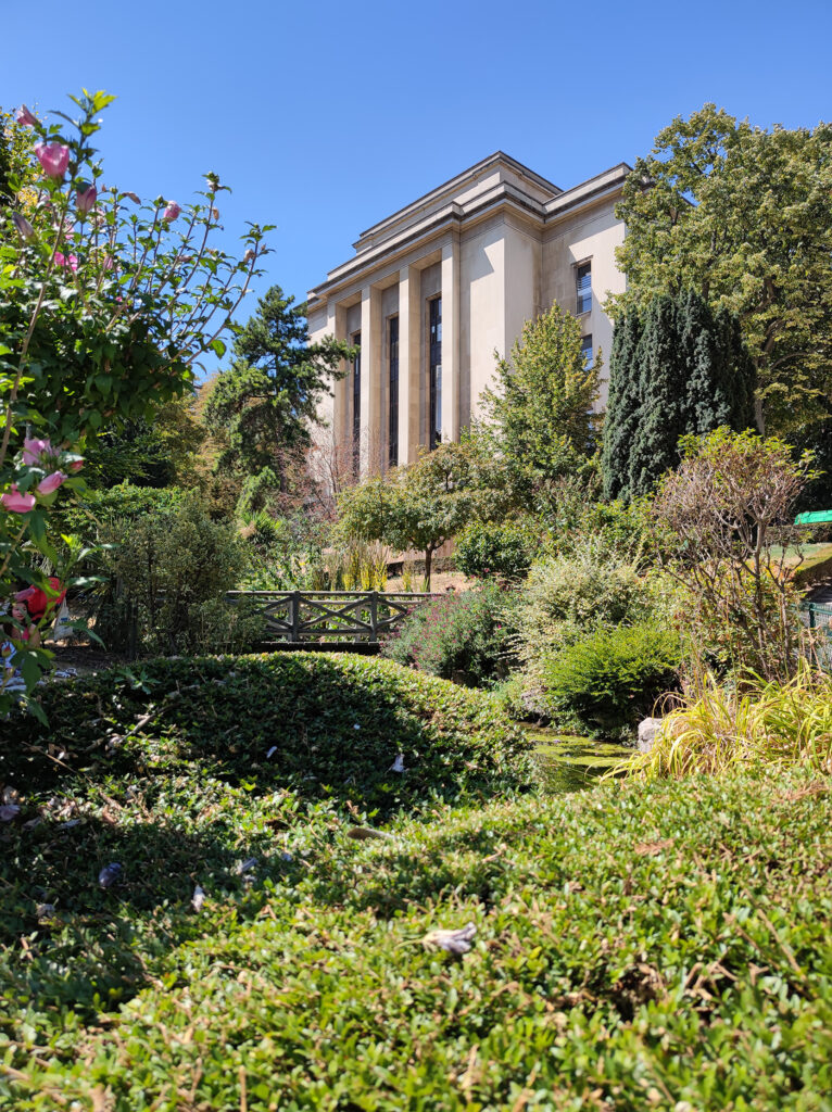 Xiaomi Mi 10 Ultra Main camera