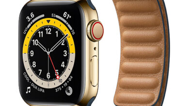 Apple Watch Series 6 Stainless Steel Baltic Blue