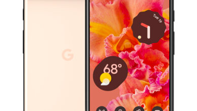 Google Pixel 6 Kinda Coral