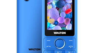Walton Olvio MM24
