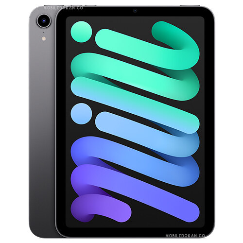 Apple iPad mini (2021) Space Gray