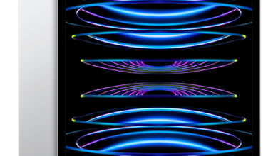 Apple iPad Pro 12.9 (2022) Silver