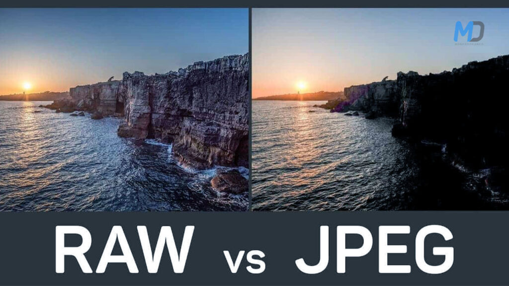 Best photos clicked by Samsung Galaxy S23 raw vs jpeg