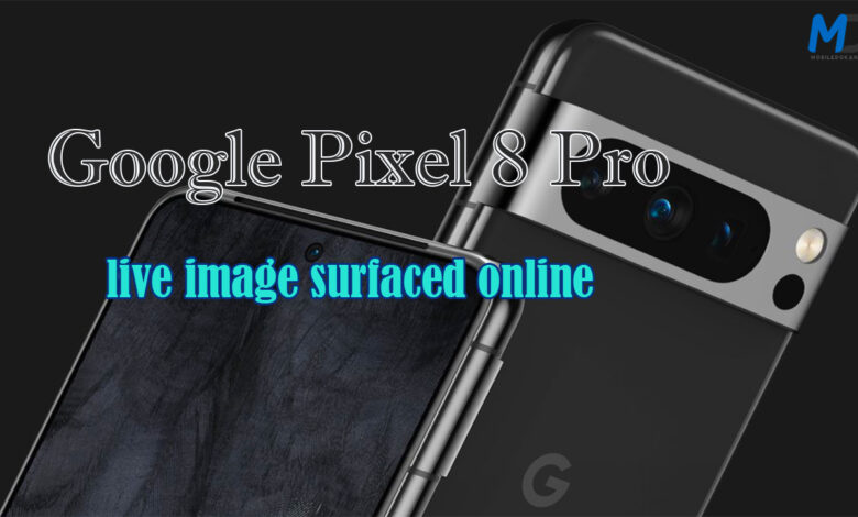 Google Pixel 8 Pro live image surfaced online