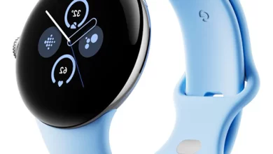 Google Pixel Watch 2