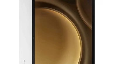 Samsung Galaxy Tab S9 FE Plus