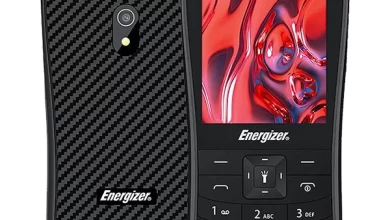 Energizer E29