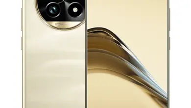 Realme 13 Pro Plus Monet Gold