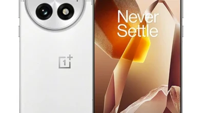 OnePlus 13 White