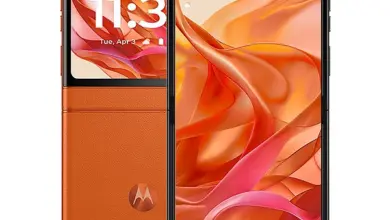 Motorola Razr 50 Arabesque