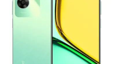 Realme C61 Safari Green