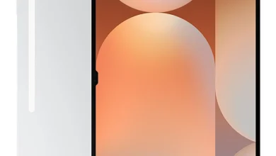 Samsung Galaxy Tab S10 Ultra Platinum Silver