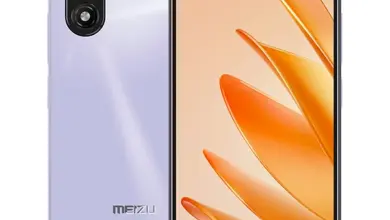 Meizu Blue 20 Purple