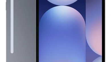 Samsung Galaxy Tab S10 Plus Moonstone Grey