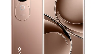 Vivo V40e Royal Bronze