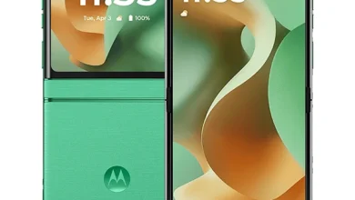 Motorola Razr 60 Spring Bud