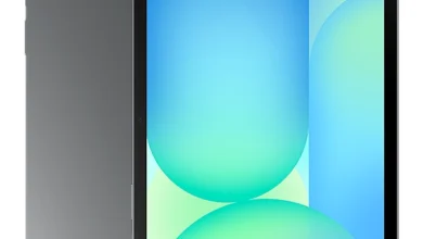 Samsung Galaxy Tab S10 FE Grey