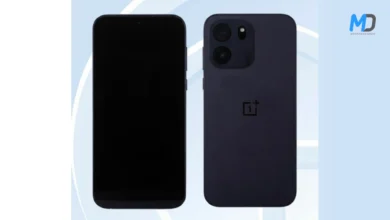 OnePlus Turbo 6V TENAA listing revealed key specs