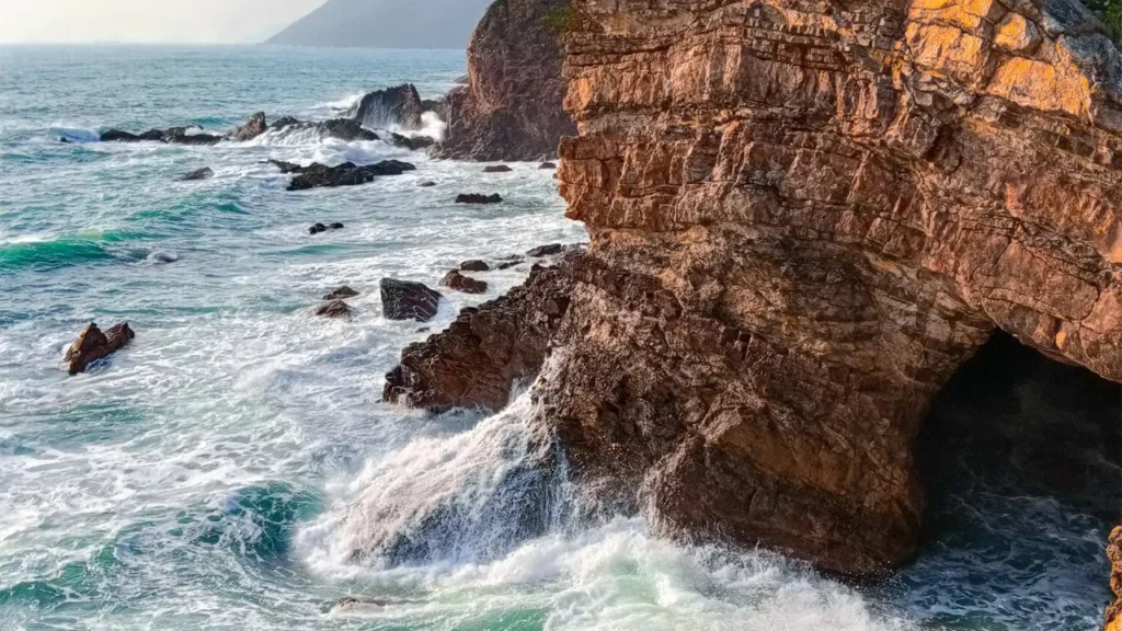 The 50MP AI camera can capture every detail